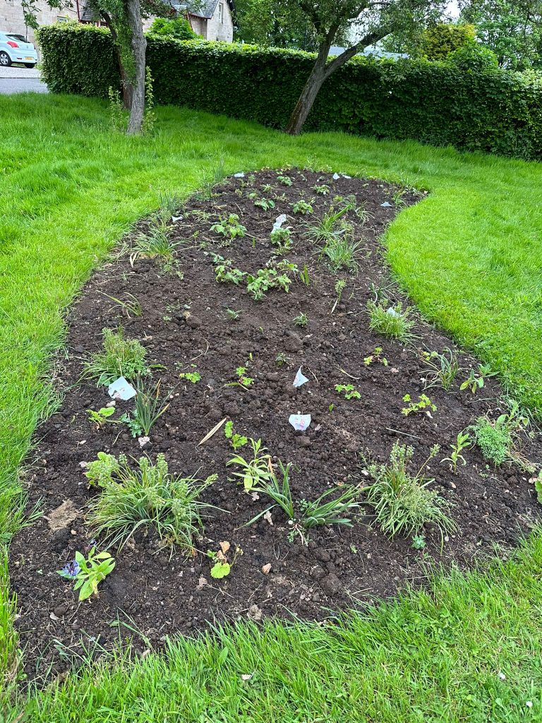 Newly planted flower beds